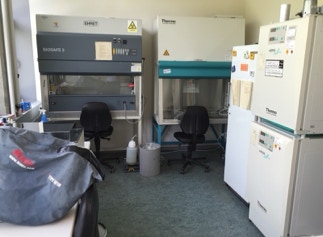 Laminar flow clean benches and Heracell incubators in the cell culture laboratory